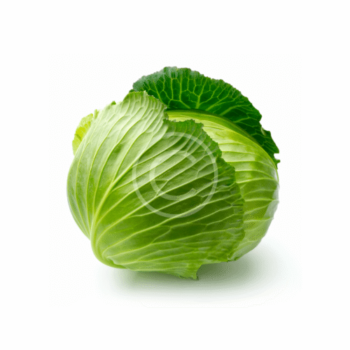 Young Cabbage